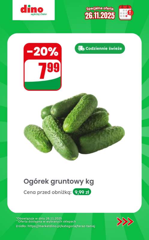 Dino - gazetka promocyjna Specjalna oferta na 26.11.2025 - promocje spoza gazetki od środy 26.11 do środy 26.11 - strona 3