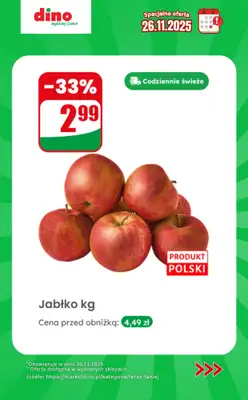 Dino - gazetka promocyjna Specjalna oferta na 26.11.2025 - promocje spoza gazetki od środy 26.11 do środy 26.11 - strona 2