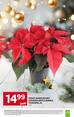 Stokrotka - gazetka promocyjna Gazetka Supermarket od czwartku 27.11 do środy 03.12 - strona 11