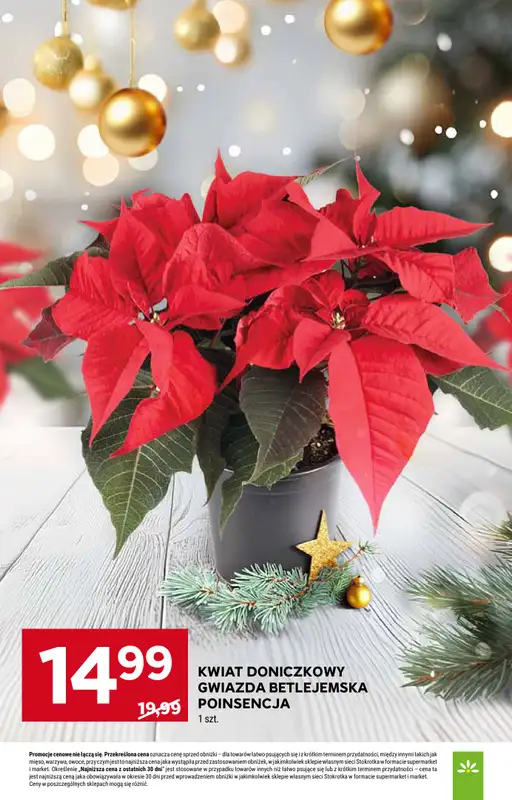 Stokrotka - gazetka promocyjna Gazetka Market od czwartku 27.11 do środy 03.12 - strona 14