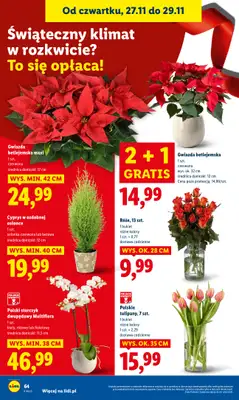 Lidl - gazetka promocyjna Oferta od czwartku od czwartku 27.11 do soboty 29.11 - strona 64