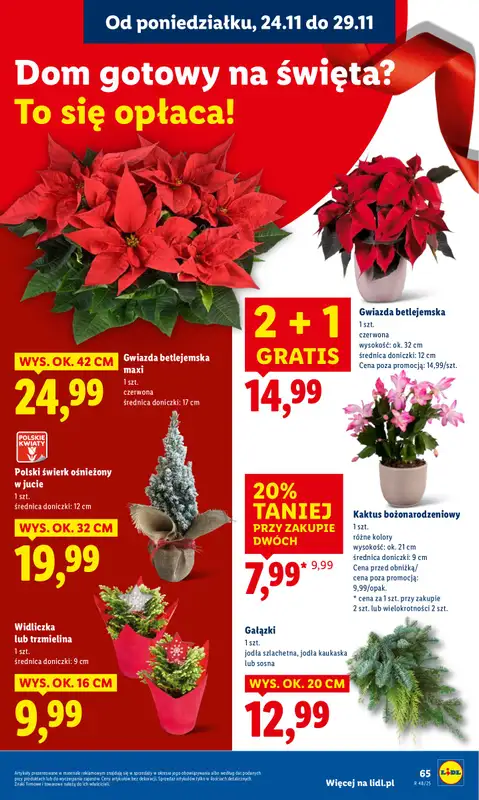 Lidl - gazetka promocyjna Oferta od poniedziałku od poniedziałku 24.11 do środy 26.11 - strona 67