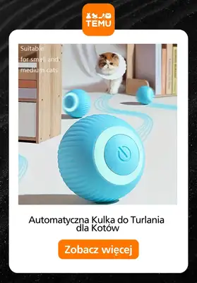 Temu - gazetka promocyjna Do -80% oferty na Black Friday od środy 26.11  - strona 15