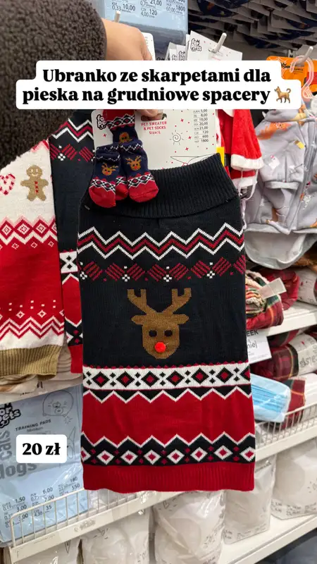 Pepco - gazetka promocyjna Zakupowe Inspiracje w Pepco od czwartku 27.11  - strona 9