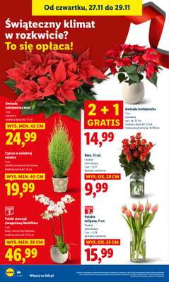 Lidl - gazetka promocyjna Oferta od czwartku od czwartku 27.11 do soboty 29.11 - strona 64