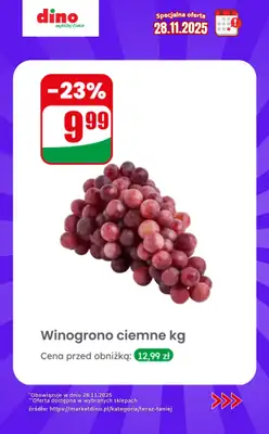 Dino - gazetka promocyjna Specjalna oferta na 28.11.2025 - promocje spoza gazetki od piątku 28.11 do piątku 28.11 - strona 2