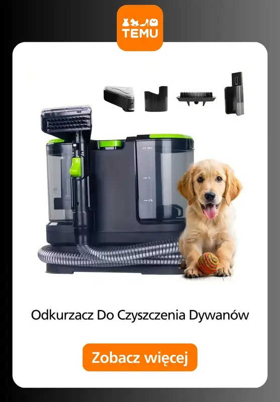 Temu - gazetka promocyjna BESTSELLERY miesiąca od soboty 29.11  - strona 12