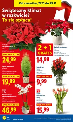 Lidl - gazetka promocyjna Oferta od czwartku od czwartku 27.11 do soboty 29.11 - strona 64