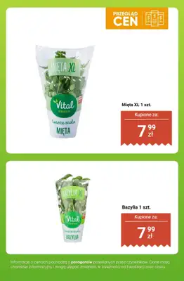 Biedronka - gazetka promocyjna Owoce i warzywa - przegląd cen od poniedziałku 01.12 do soboty 06.12 - strona 16