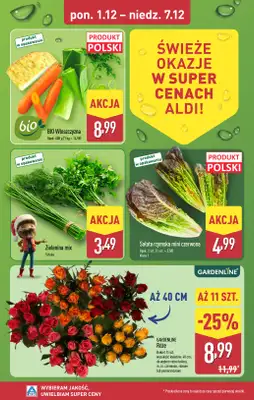 Aldi - gazetka promocyjna Farmer Aldik poleca! od poniedziałku 01.12 do niedzieli 07.12 - strona 6