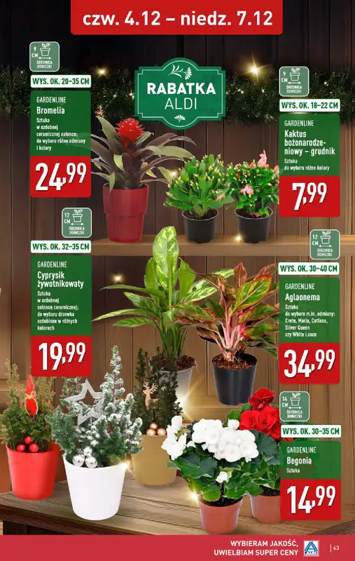 Aldi - gazetka promocyjna Pełny katalog! od poniedziałku 01.12 do niedzieli 07.12 - strona 43