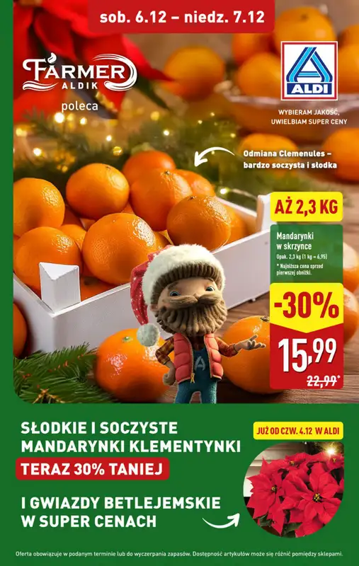 Aldi - gazetka promocyjna Weekend super cen w Aldi! od czwartku 04.12 do niedzieli 07.12 - strona 19