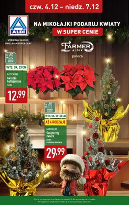 Aldi - gazetka promocyjna Weekend super cen w Aldi! od czwartku 04.12 do niedzieli 07.12 - strona 13