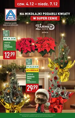 Aldi - gazetka promocyjna Kwiaty w super cenie! od czwartku 04.12 do niedzieli 07.12