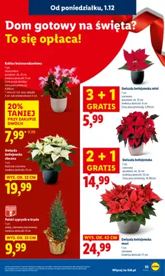 Lidl - gazetka promocyjna Oferta od poniedziałku od poniedziałku 01.12 do środy 03.12 - strona 57