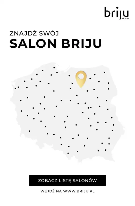 Prezenty - gazetka promocyjna Briju | -20% na zegarki od niedzieli 30.11 do środy 31.12 - strona 14