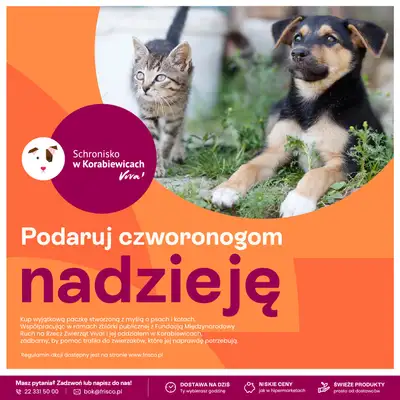 Frisco - gazetka promocyjna Gazetka od poniedziałku 01.12 do niedzieli 14.12 - strona 40