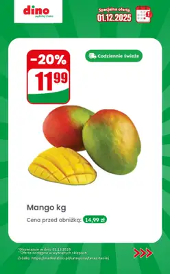 Dino - gazetka promocyjna Specjalna oferta na 01.12.2025 - promocje spoza gazetki od poniedziałku 01.12 do poniedziałku 01.12 - strona 3