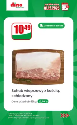 Dino - gazetka promocyjna Specjalna oferta na 01.12.2025 - promocje spoza gazetki od poniedziałku 01.12 do poniedziałku 01.12 - strona 5