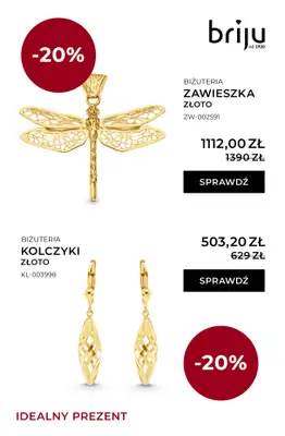 Briju - gazetka promocyjna Idealny prezent od niedzieli 07.12 do środy 31.12 - strona 3