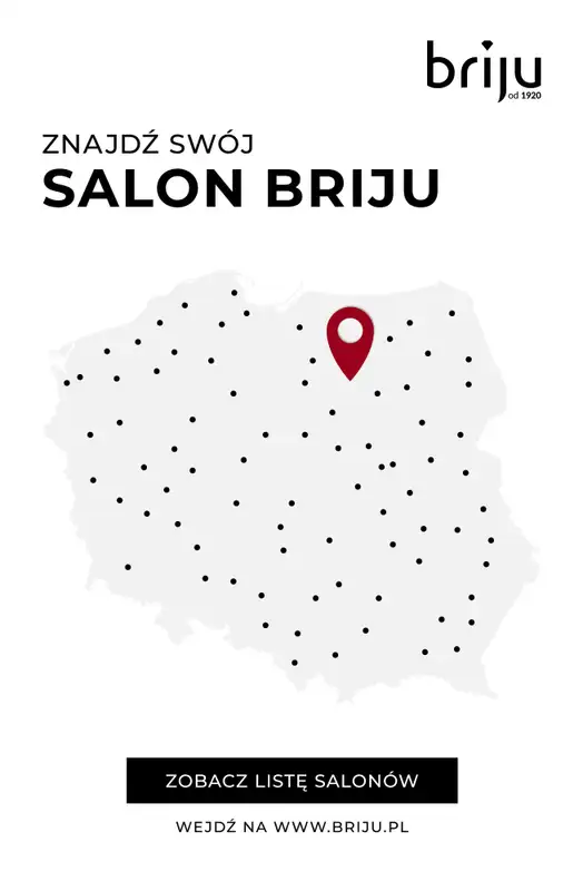 Prezenty - gazetka promocyjna Briju I Idealny prezent od niedzieli 07.12 do środy 31.12 - strona 12