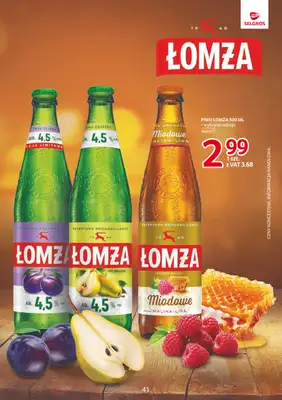 Selgros - gazetka promocyjna Katalog Markowe Produkty od czwartku 04.12 do środy 17.12 - strona 41