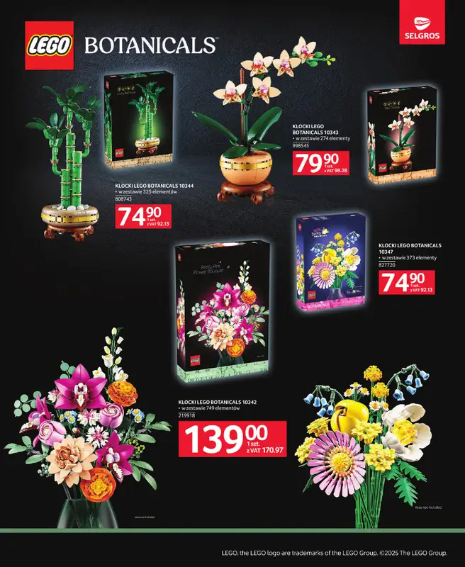 Selgros - gazetka promocyjna Katalog Zabawki od czwartku 04.12 do środy 17.12 - strona 5