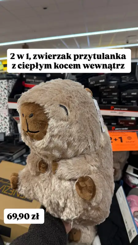 Biedronka - gazetka promocyjna Zakupowe Inspiracje - produkty do domu i dodatki modowe  