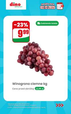 Dino - gazetka promocyjna Specjalna oferta na 02.12.2025 - promocje spoza gazetki od wtorku 02.12 do wtorku 02.12 - strona 2
