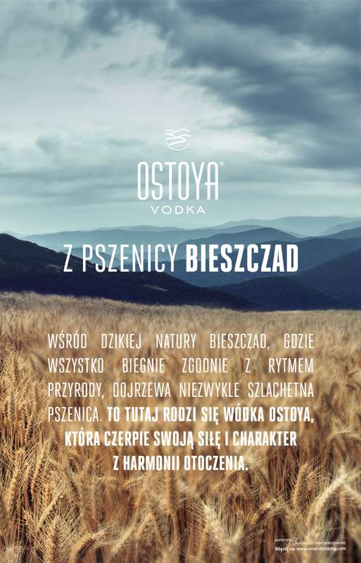 Biedronka - gazetka promocyjna CZYSTA ESENCJA NATURY od czwartku 04.12 do piątku 05.12 - strona 3
