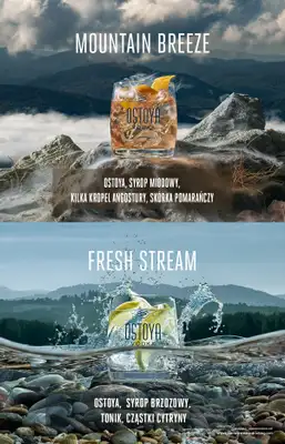 Biedronka - gazetka promocyjna CZYSTA ESENCJA NATURY od czwartku 04.12 do piątku 05.12 - strona 8