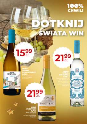 Duży Ben - gazetka promocyjna Gazetka alkoholowa od środy 03.12 do wtorku 06.01 - strona 10