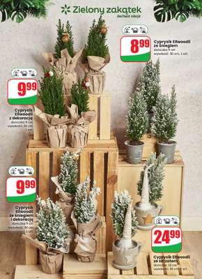 Dino - gazetka promocyjna Gazetka od środy 03.12 do wtorku 09.12 - strona 60