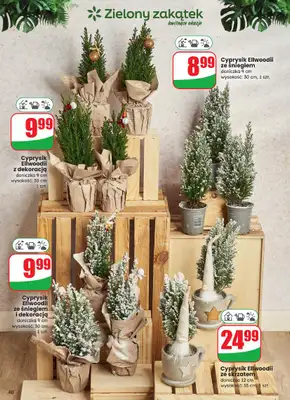 Dino - gazetka promocyjna Gazetka od środy 03.12 do wtorku 09.12 - strona 60