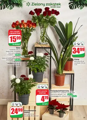 Dino - gazetka promocyjna Gazetka od środy 03.12 do wtorku 09.12 - strona 59