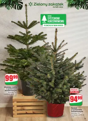 Dino - gazetka promocyjna Gazetka od środy 03.12 do wtorku 09.12 - strona 61