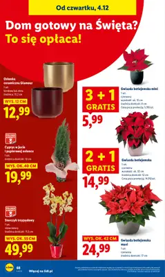 Lidl - gazetka promocyjna Oferta od czwartku od czwartku 04.12 do niedzieli 07.12 - strona 70