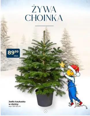 PSB Mrówka - gazetka promocyjna Gazetka od czwartku 04.12 do soboty 14.02 - strona 2