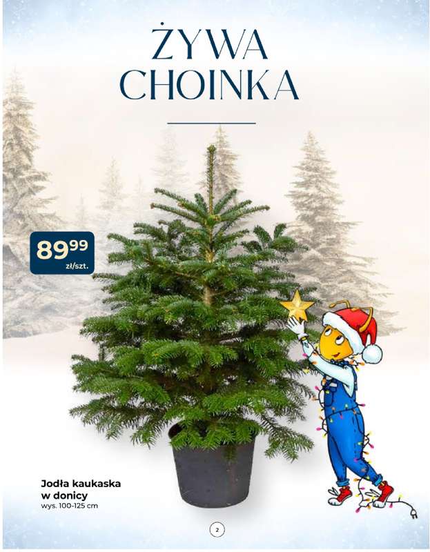 PSB Mrówka - gazetka promocyjna Gazetka od czwartku 04.12 do soboty 14.02 - strona 2