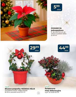 PSB Mrówka - gazetka promocyjna Gazetka od czwartku 04.12 do soboty 14.02 - strona 15