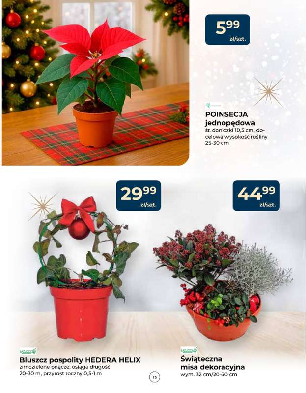 PSB Mrówka - gazetka promocyjna Gazetka od czwartku 04.12 do soboty 14.02 - strona 15