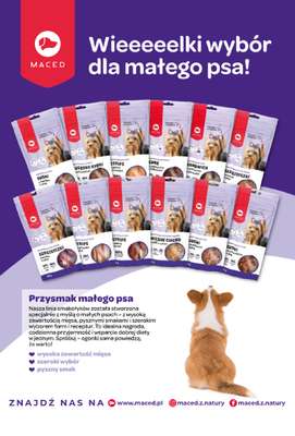 Aquael zoo - gazetka promocyjna Gazetka od środy 03.12 do środy 31.12 - strona 11