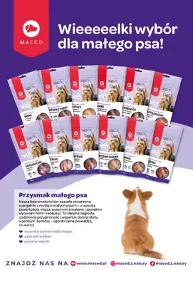 Aquael zoo - gazetka promocyjna Gazetka od środy 03.12 do środy 31.12 - strona 11