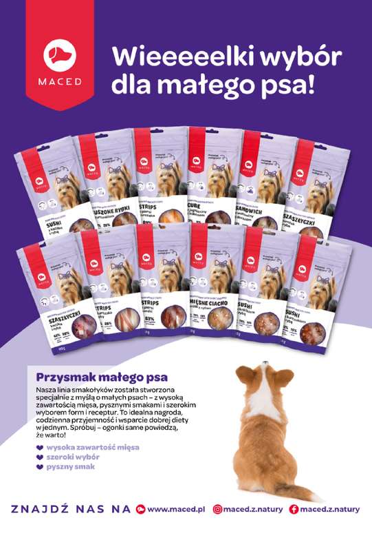 Aquael zoo - gazetka promocyjna Gazetka od środy 03.12 do środy 31.12 - strona 11