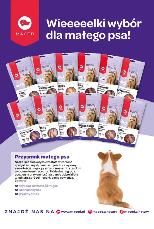 Aquael zoo - gazetka promocyjna Gazetka od środy 03.12 do środy 31.12 - strona 11