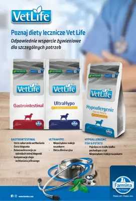 Aquael zoo - gazetka promocyjna Gazetka od środy 03.12 do środy 31.12 - strona 10