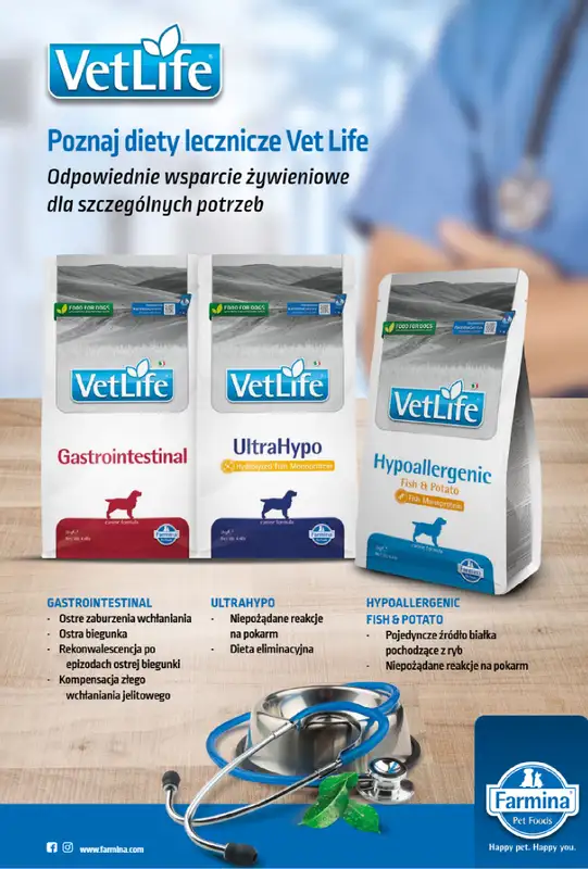 Aquael zoo - gazetka promocyjna Gazetka od środy 03.12 do środy 31.12 - strona 10