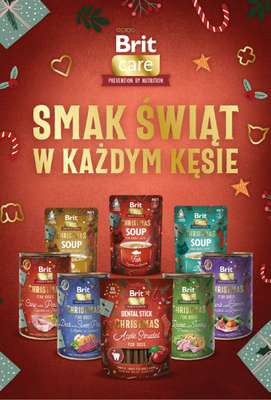 Aquael zoo - gazetka promocyjna Gazetka od środy 03.12 do środy 31.12 - strona 16