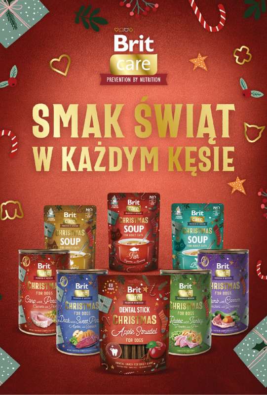 Aquael zoo - gazetka promocyjna Gazetka od środy 03.12 do środy 31.12 - strona 16