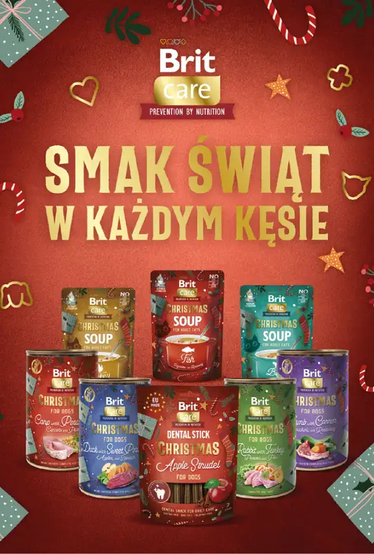 Aquael zoo - gazetka promocyjna Gazetka od środy 03.12 do środy 31.12 - strona 16